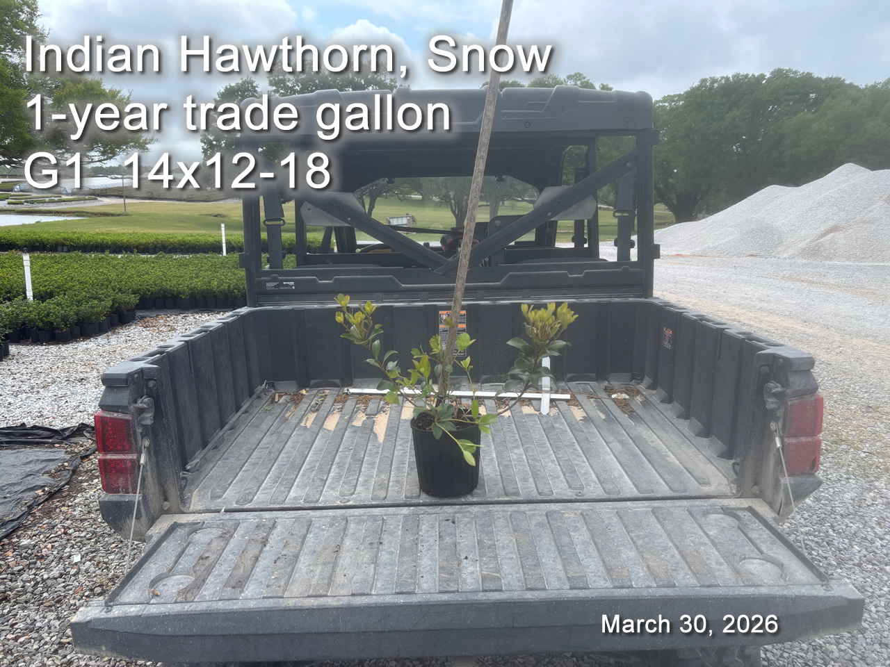 gallery/ihs1yt g1 mar20.jpg